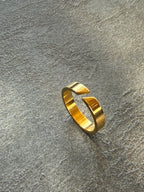 The Glossy Ring