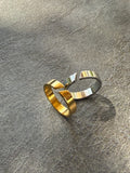 The Glossy Ring